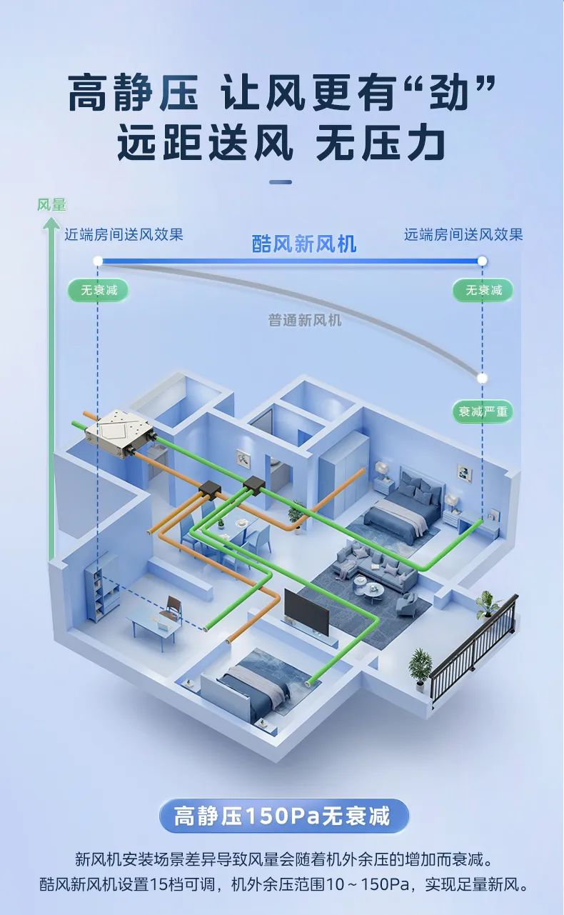 详情5.jpg